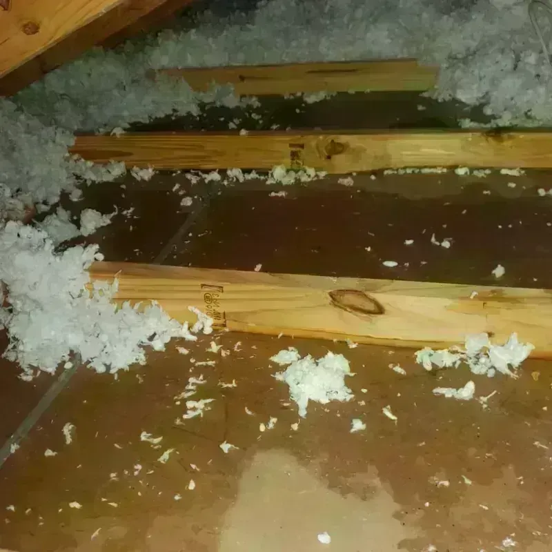 Attic Water Damage in Mountain Grove, MO